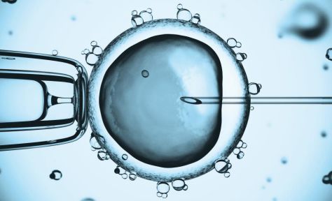 案例